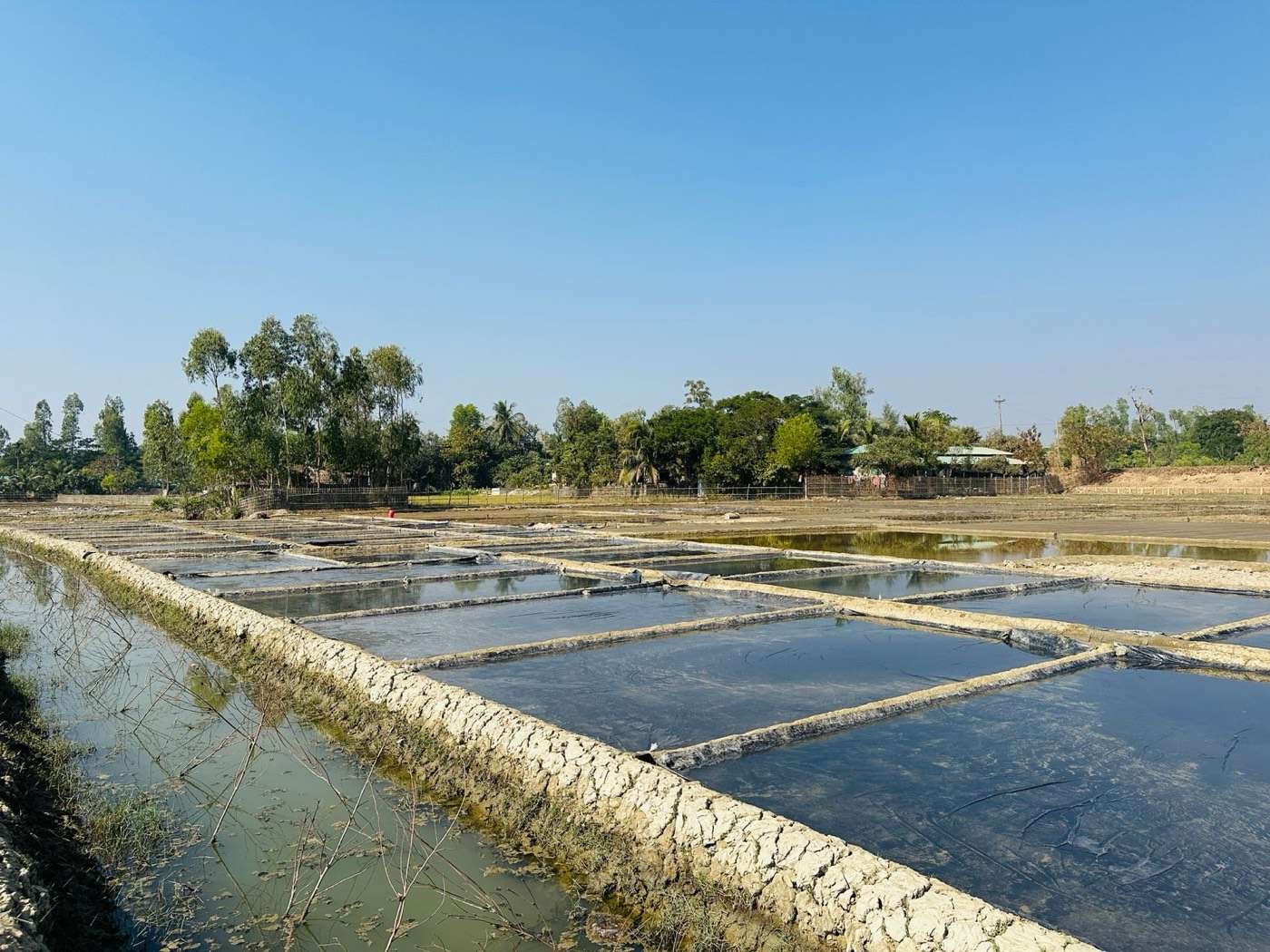 Rows of aquaculture ponds divided by earth walls