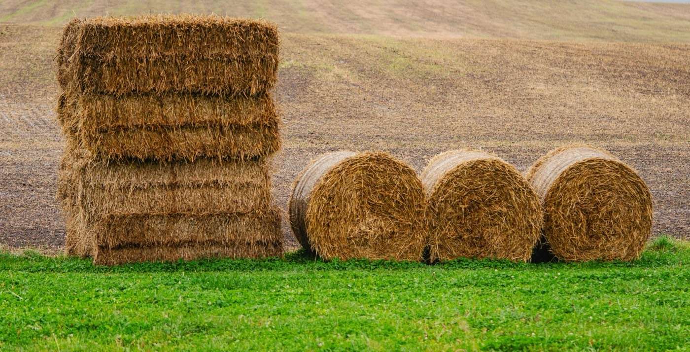 Stacked square hay bales beside round bales on green grass